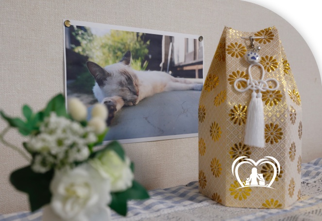 Urna decorativa com foto de um gato e flores brancas