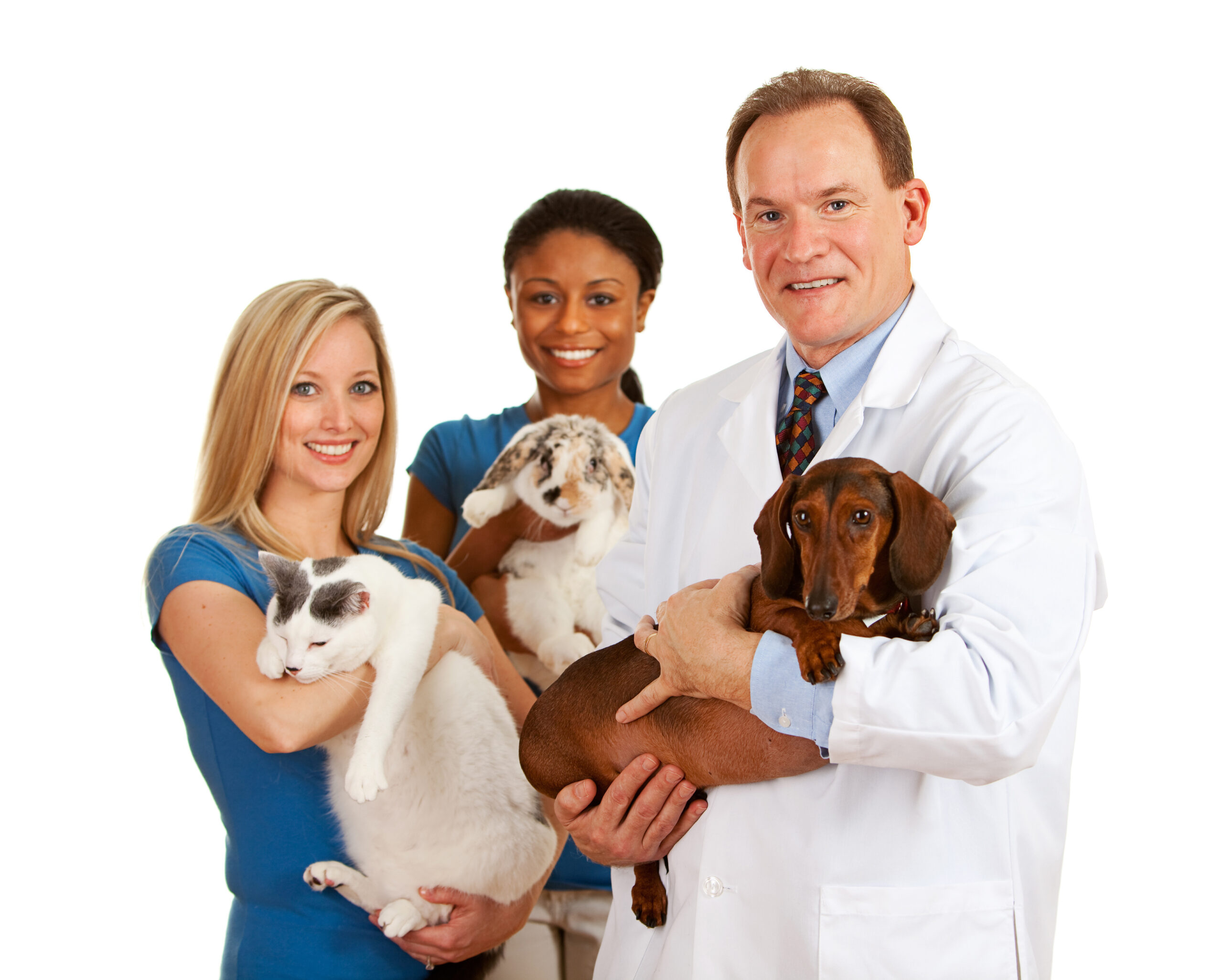 Equipe veterinária com animais