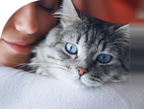 Mulher abraçando um gato
