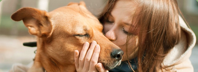 Mulher beijando um cachorro