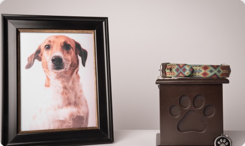 Porta-retrato e urna com pata
