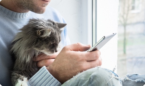 Pessoa com um gato usando o celular