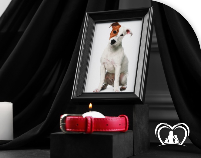 Porta-retrato de cachorro com vela e coleira vermelha