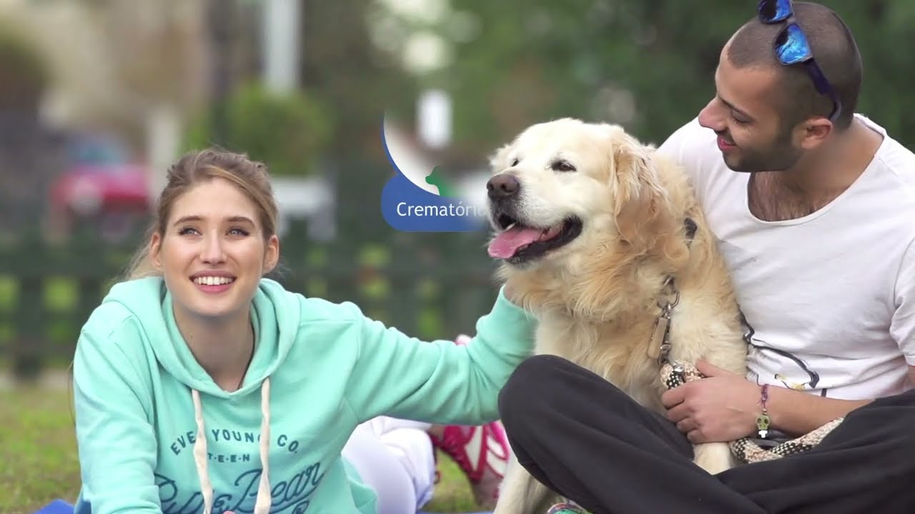 Vídeo da Pet Lovers 1